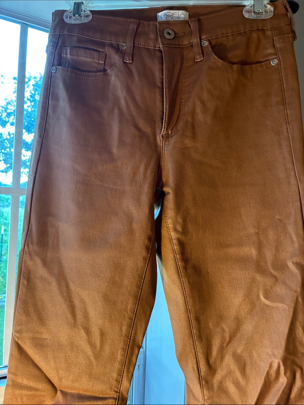 SOFIA Brown Faux Leather Pants Sz 2